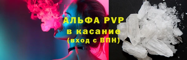 сатива Гусь-Хрустальный
