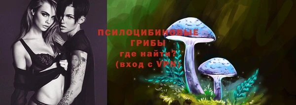 сатива Гусь-Хрустальный