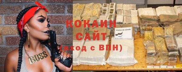 сатива Гусь-Хрустальный