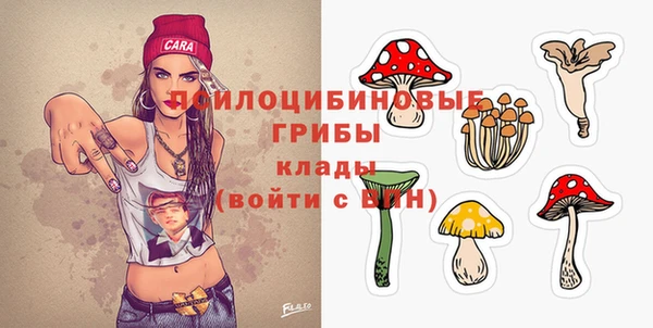 первитин Гусиноозёрск