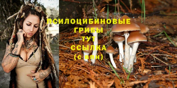 альфа пвп VHQ Гусев