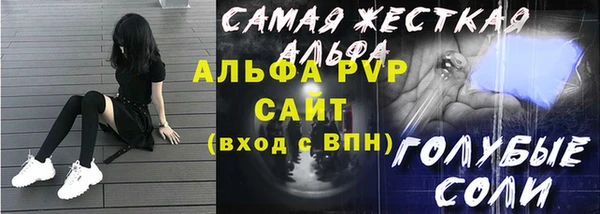сатива Гусь-Хрустальный