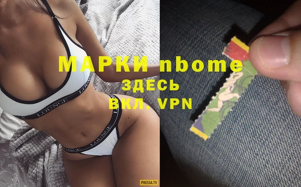 сатива Гусь-Хрустальный