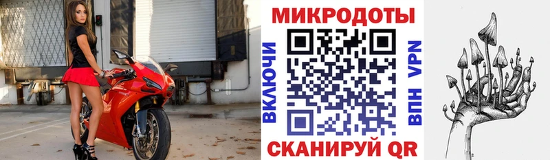 Псилоцибиновые грибы Psilocybine cubensis  Дятьково 